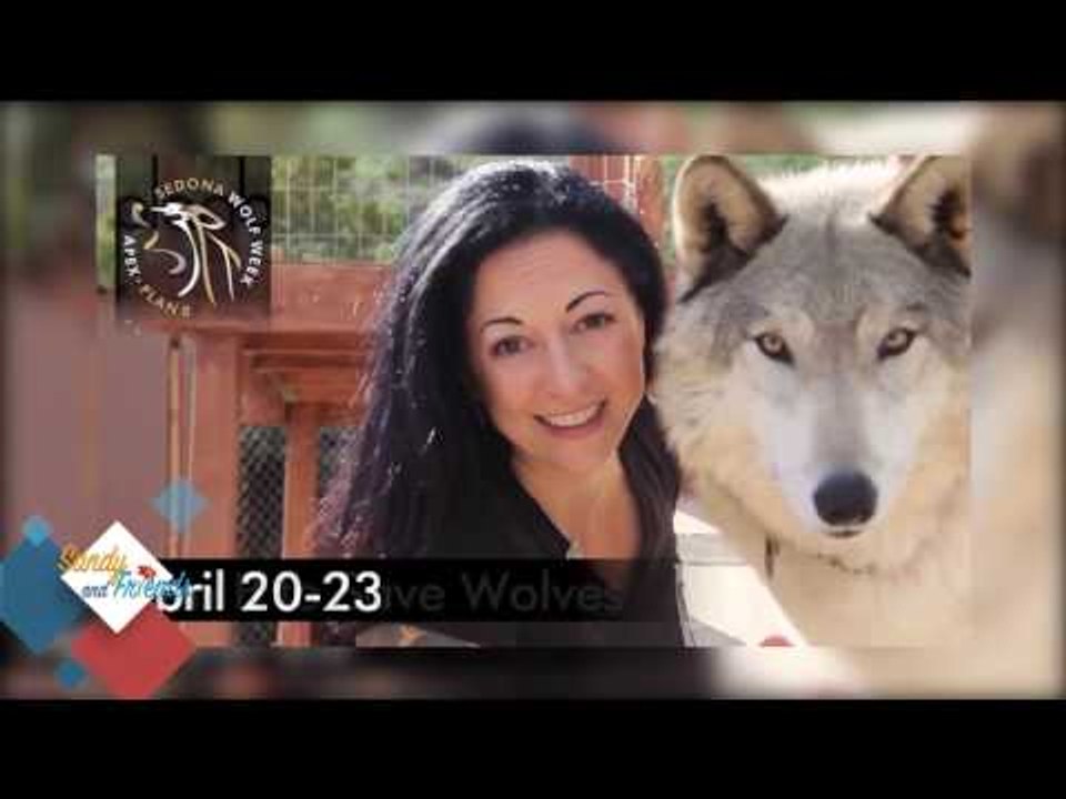 SANDY & FRIENDS-SEDONA WOLF WEEK