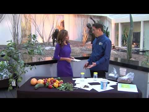 AZTV AZDM Green Thumb Peterson 10 26 17