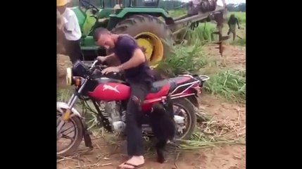 The chimpanzee started crying so loudly that it did not get on the motorcycle