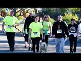 AZTV AZDM Trauma Run 1 29 18