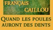 Français caillou / Définition du jour : 