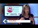 S&F-YAVAPAI HUMANE SOCIETY