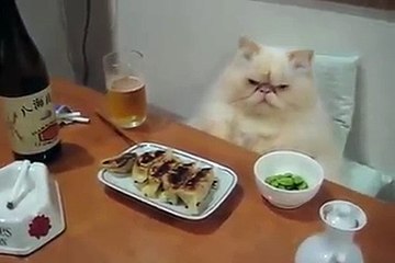 실시간라이브바카라▒▒ https://yes848.com ▒▒메이저놀이터추천☆우리카지노☆예스카지노|실시간경마