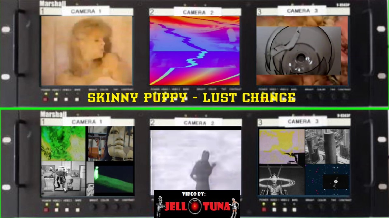 Skinny Puppy - Lust Chance