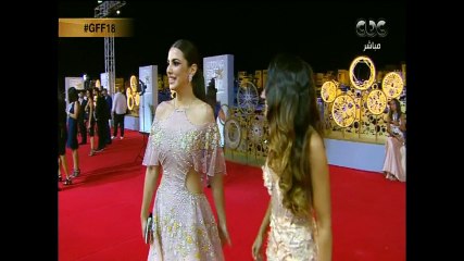 تصريحات الفنانة دينا الشربيني