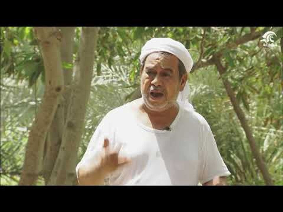 النيشان - مزارعون يعتمدون على الدرور في زراعة الحمضيات والفندال
