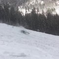 Skier Crashes Hard After Skiing Through Cluster of Trees