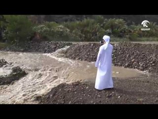 أمطار الخير تهطل بغزارة على جبل شيص بالشارقة