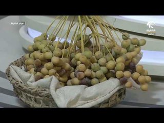 صباح الشارقة - فقرة التراث : انواع الرطب