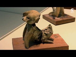 برنامج أماسي - الطبق الطائر