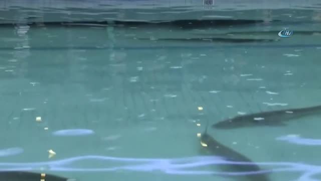 Kuzey Kore Lideri Kim'den Seul'e Ziyaret Sözü- Kuzey Kore Lideri Kim: Bu Ayrılığa Son Vereceğiz