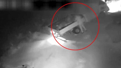 농촌에서 '금값' 고추 훔쳐 판매한 60대 덜미 / YTN