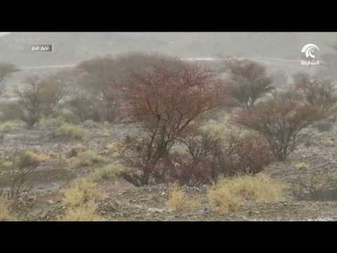 هطول أمطار غزيرة على المنطقة الوسطى وبعض المناطق الشرقية من الدولة