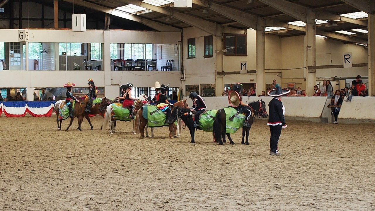 poney 2018