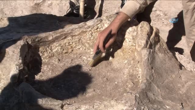 Kayseri'de 7,5 Milyon Yıllık Fosil Bulundu