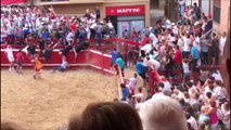 Un toro salta y escapa de la plaza de Villafranca (Navarra).