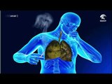 أخبار الدار : التدخين من الأسباب الرئيسية لسرطان الرئة والوفيات