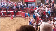 Un toro salta y escapa de la plaza de Villafranca (Navarra).