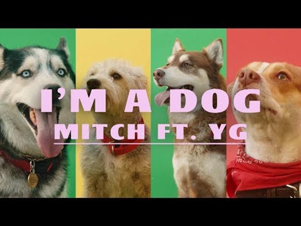 Mitch - I'm A Dog ft. YG (Official Music Video)