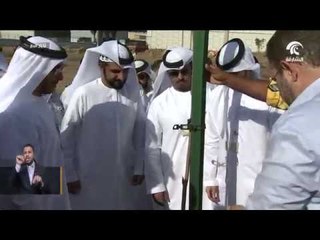 بلدية الشارقة تطلق مبادرة تطوعية لتشجير جسر الصناعية الثالثة