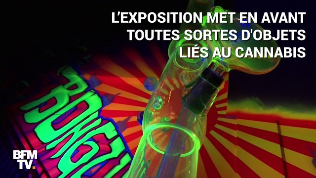 Un musée de la marijuana ouvre ses portes à Las Vegas