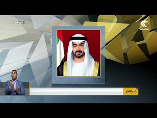 محمد بن زايد يصدر قراراً بتعيين وكيل لدائرة الطاقة