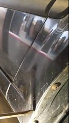 Mechanic Finds Furry Stowaway Within Car