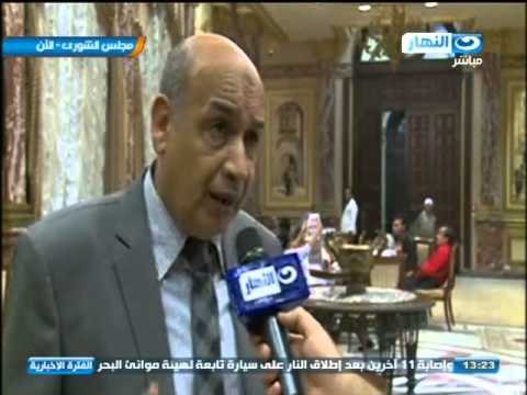 اخبار النهار - ممثل الأزهر بلجنة تعديل الدستور يقول ان لجنة المقومات توافقت على وجود مادة الأزهر