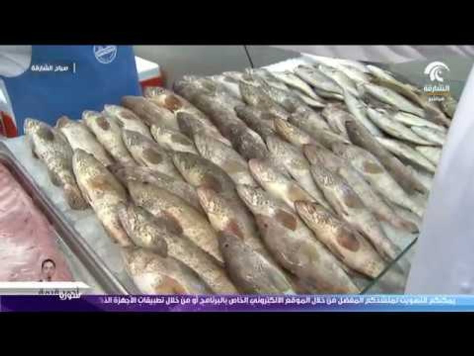 صباح الشارقة - جولة سوق الجبيل 6 / 12 / 2017