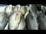برنامج صباح الشارقة.. أسعار الأسماك في سوق الجبيل لهذا اليوم 13-4-2016