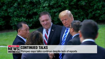 U.S. making progress it needs with North Korea: Pompeo