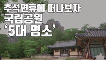 [자막뉴스] 주왕산부터 내장산까지...추석 연휴에 가볼만한 5대 명소 / YTN