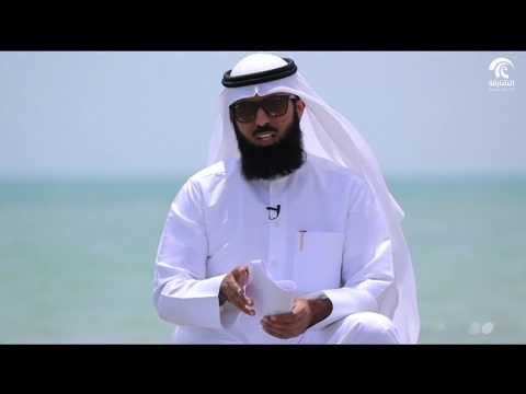 برنامج ورقات 1 - كبار السن