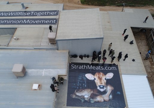 Activists Occupy Roof of Adelaide Slaughterhouse Accused of Animal Abuse