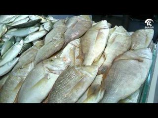 صباح الشارقة: فقرة سوقنا - سوق الجبيل 19/12/2016