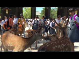 صباح الشارقة .. غرائب حول العالم