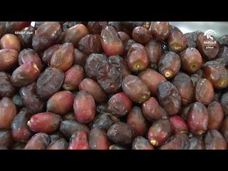 صباح الشارقة - جولة سوق الجبيل 07 - 08 - 2018