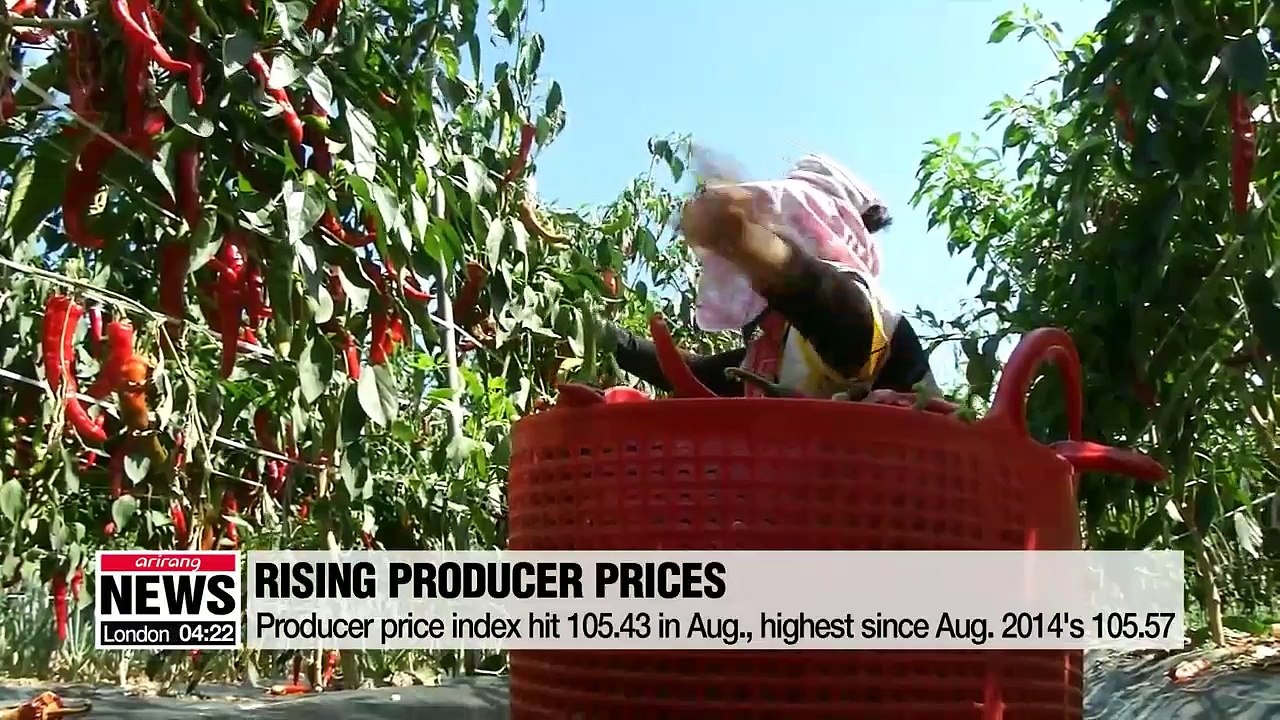 S. Korea's producer price index hit highest level in nearly four years