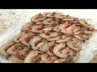 برنامج صباح الشارقة  - أحدث الأسعار والسلع في سوق الجبيل لليوم 6 -09- 2018