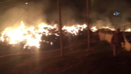 Horasan'da 25 Bin Balya Ot Yanarak Kül Oldu