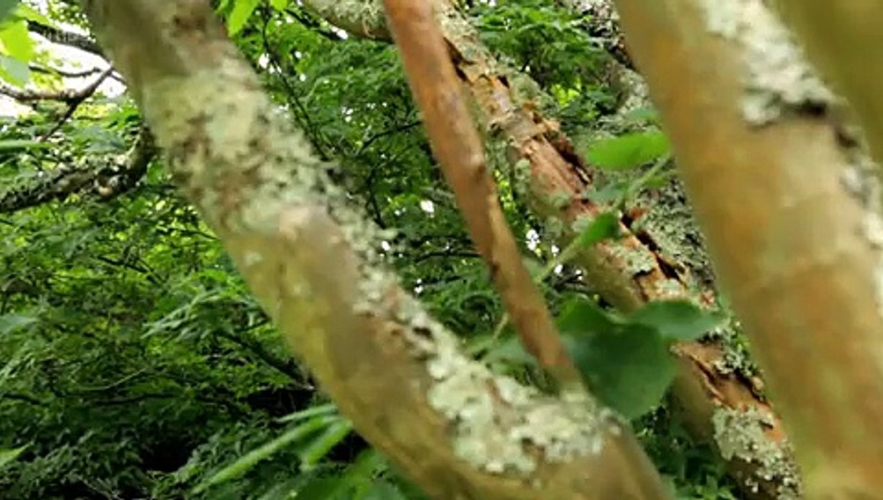 Inside Out Homes S01e02