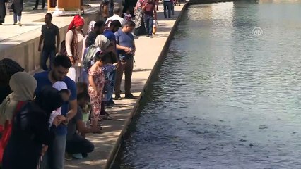 Üniversite hayallerine belediye desteğiyle kavuştular - ŞANLIURFA