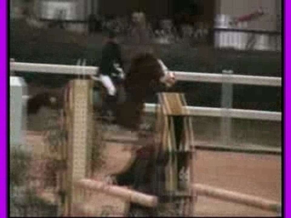 Miky 1m15 chevaux, set horse