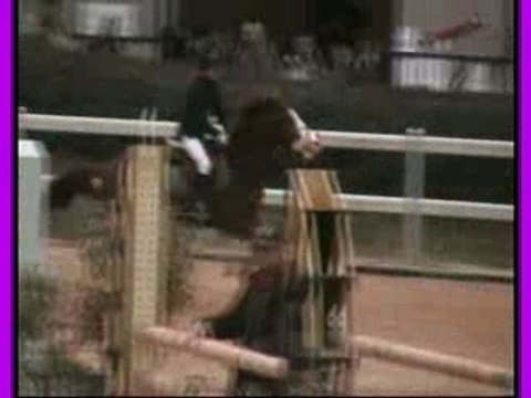 Miky 1m15 chevaux, set horse