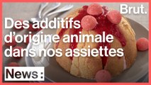 L'ONG Foodwatch alerte sur les additifs d'origine animale