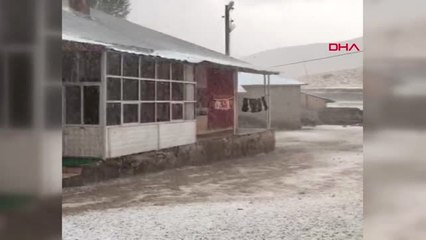 Van Başkale'de Dolu Yağışı Etkili Oldu