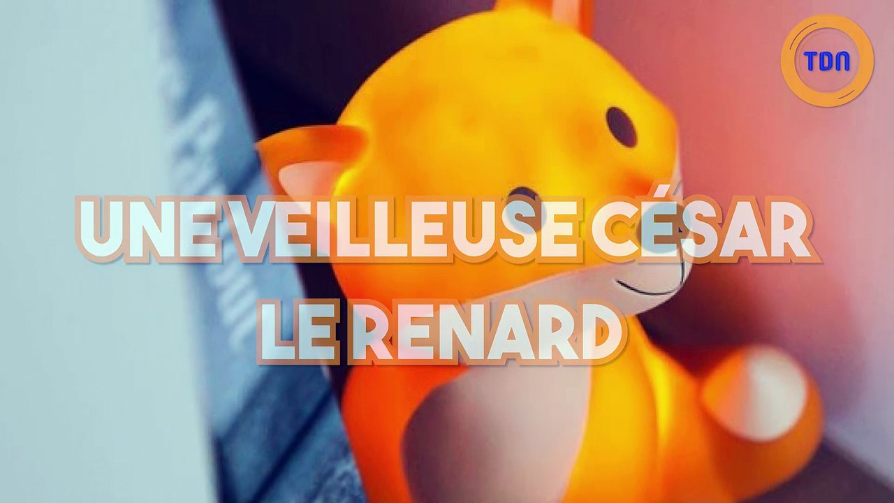 César la veilleuse renard