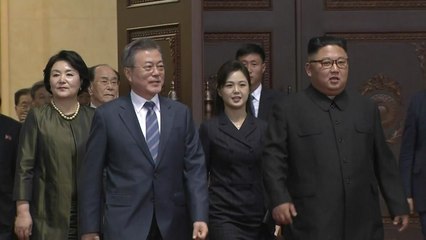 특별수행원 김홍걸에 듣는 평양정상회담 / YTN