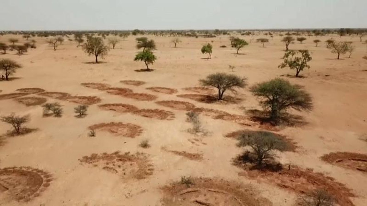 “Muchos de los que llaman inmigrantes económicos son también inmigrantes medioambientales"