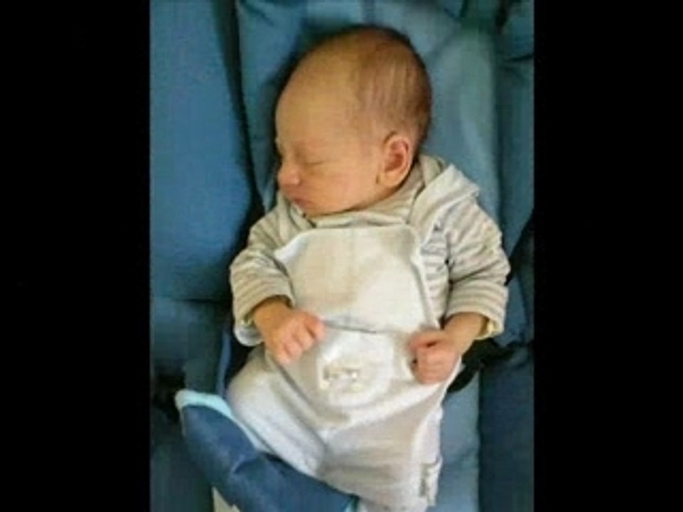Yanis